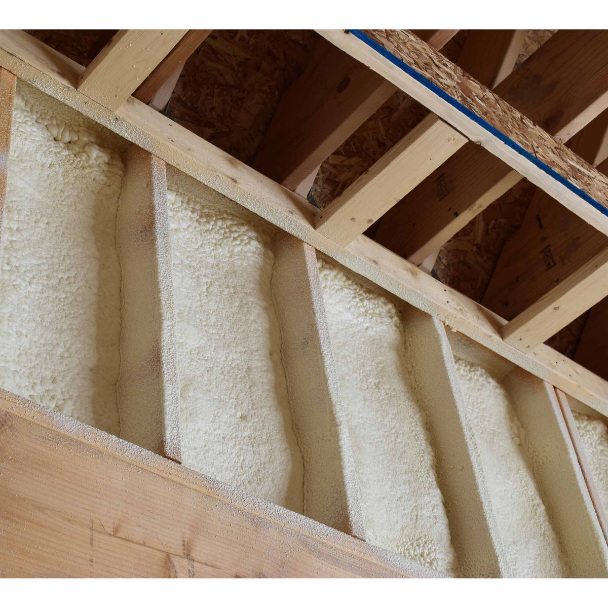 Cured off-white spray foam insulation filled between vertical wooden wall studs and ceiling roof rafters in building framing.