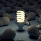 Which Commercial Lighting Is Best? LED, Fluorescent, or Incandescent