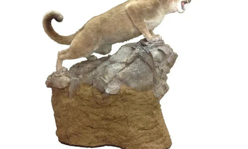 Taxidermy and Spray Foam